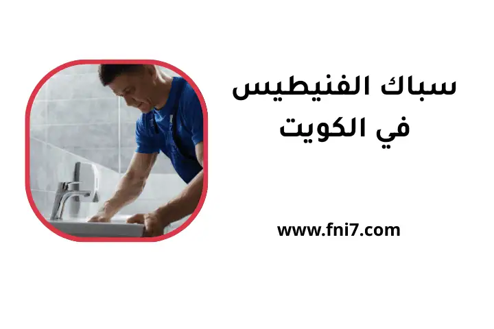 حدمة سباك الفنيطيس